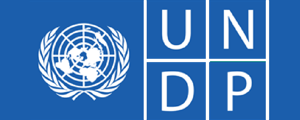 5.-UNDP-3